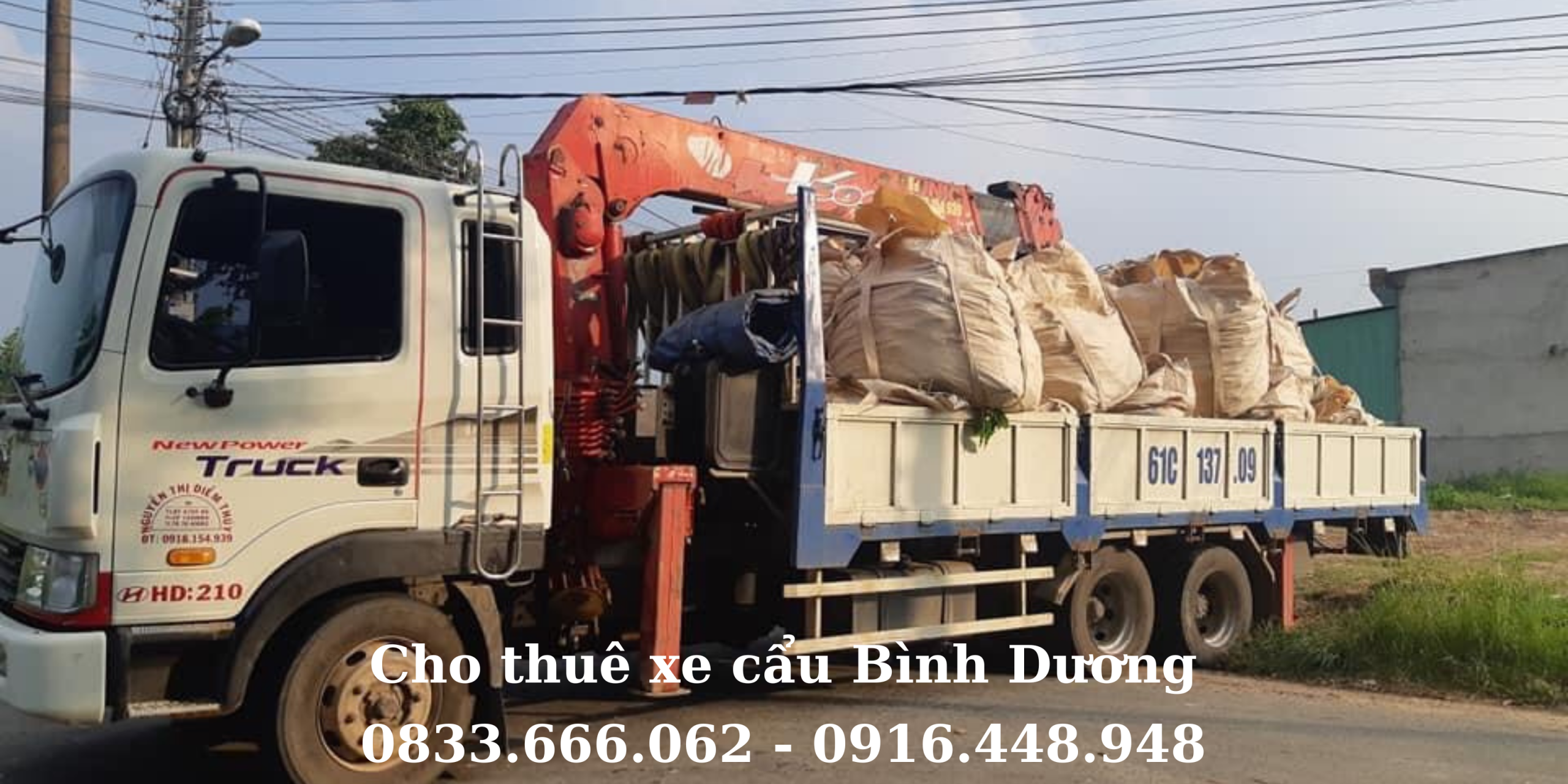 Các loại xe cẩu tự hành phổ biến tại Thủ Dầu Một